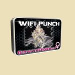 Wifi Punch