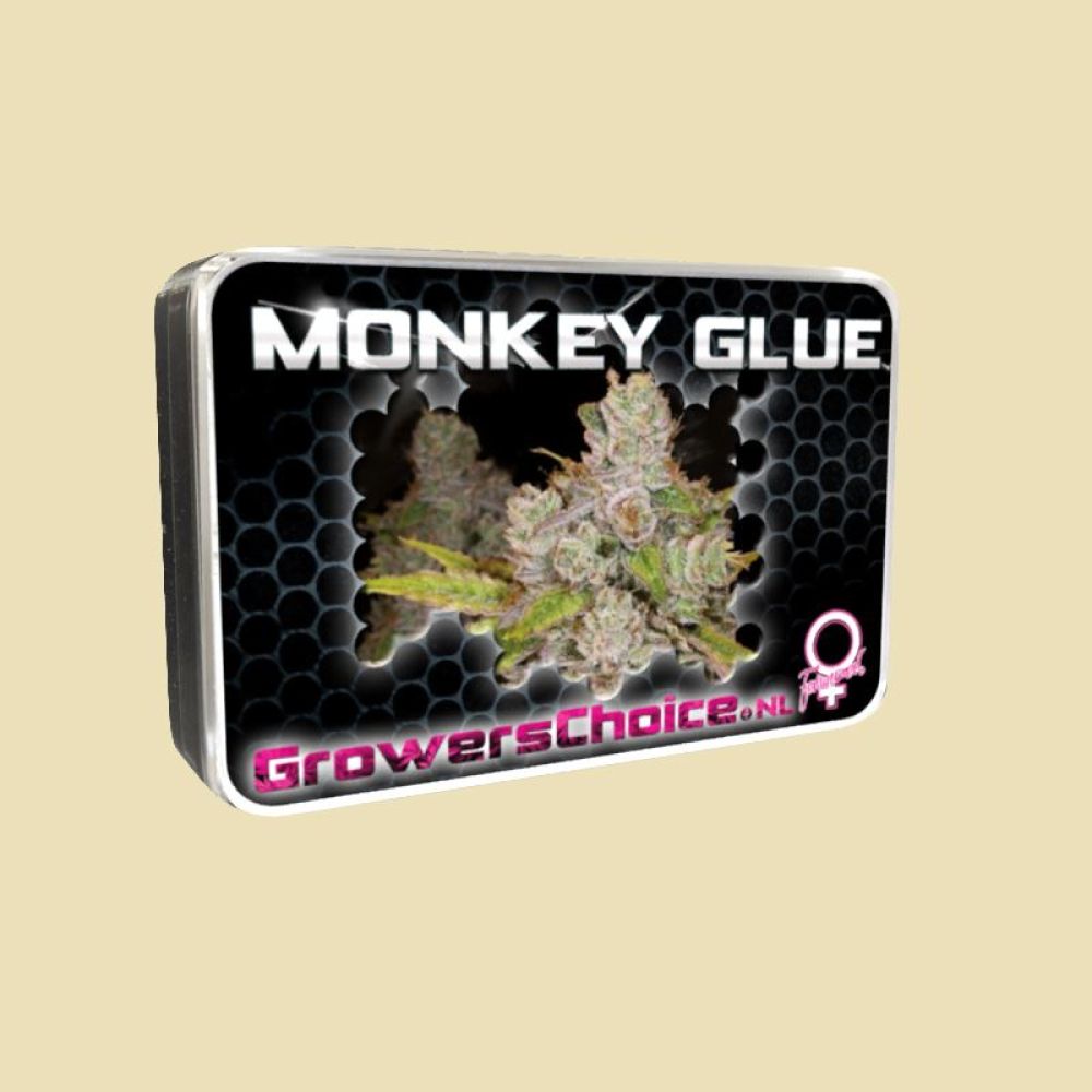 Monkey Glue